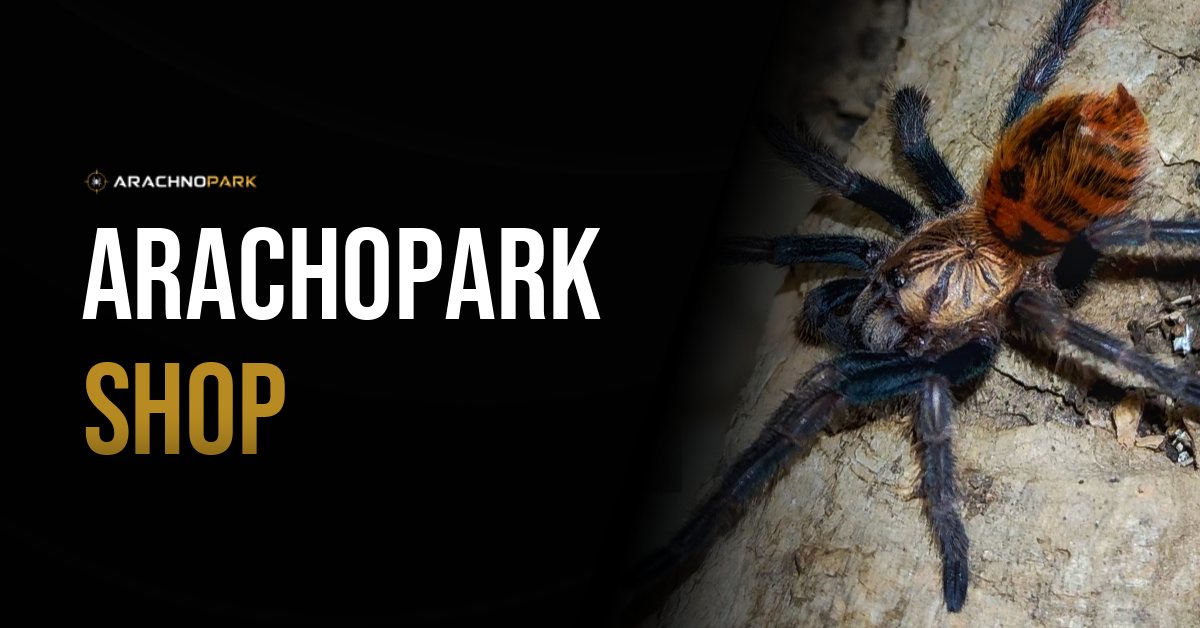 Arachnopark Shop